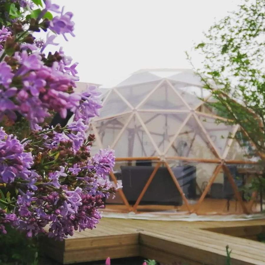 Hotel Le Dome Aux Oiseaux à Bérig-Vintrange Extérieur photo