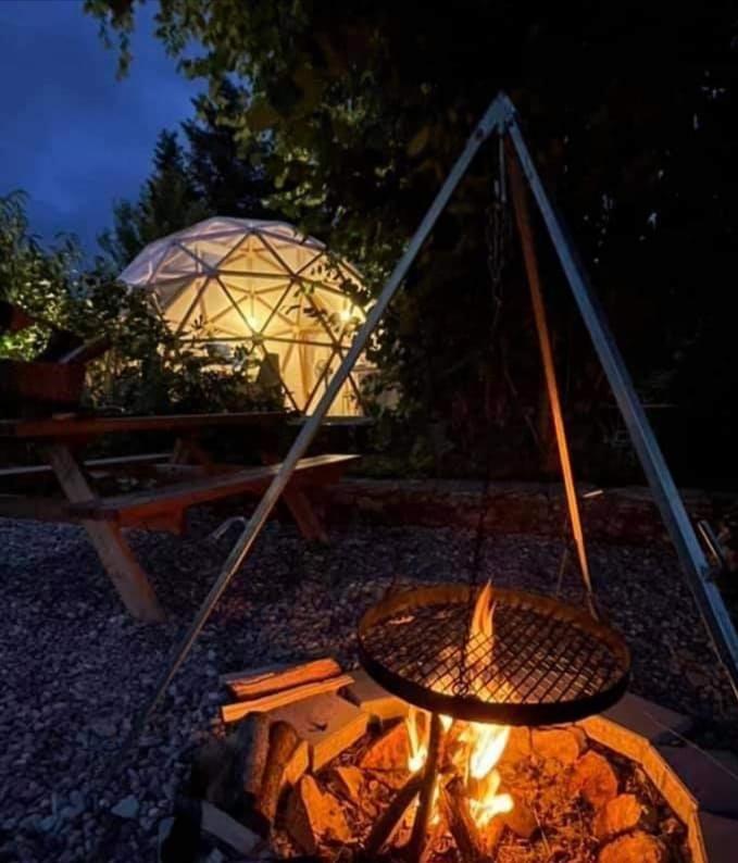 Hotel Le Dome Aux Oiseaux à Bérig-Vintrange Extérieur photo
